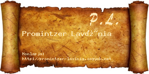 Promintzer Lavínia névjegykártya